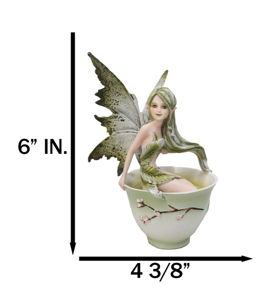 Ebros Amy Brown Matcha Green Tea Fairy in Teacup Figurine Fairy Garden 6"H