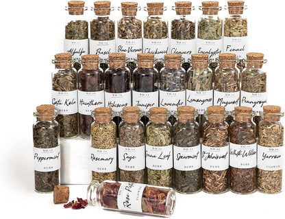 Spell Herbs for Witchcraft - 24 Bottles of Magical Herbal Supplies for Pagan, Wiccan, Witch Spells & Ritual (15ML Paper Box)