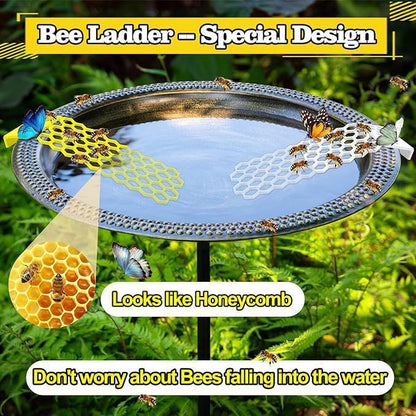 Bee Insect Drinking Water Bee Ladder